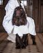 Дощовик для собак з розумним світловідбиваючим ефектом PAIKKA Visibility Raincoat Lite Taupe