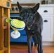 Игрушка для собак Barktender - Margarita Pet Play 10970 фото 3