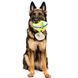 Игрушка для собак Barktender - Margarita Pet Play 10970 фото 2