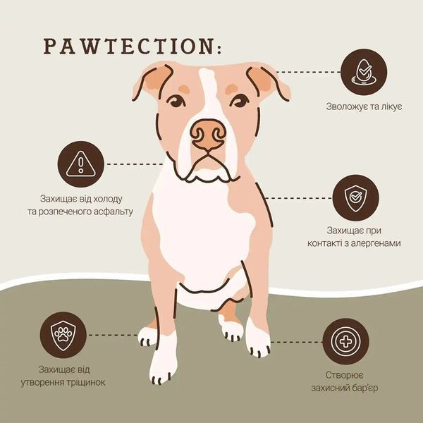 Бальзам для защиты лап Paw Tection Natural Dog Company 11754 фото