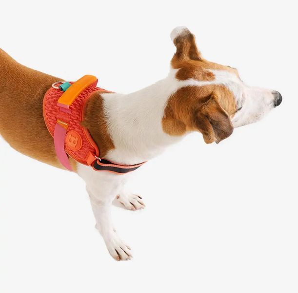 Шлея для собак Zee.Dog - Gazelle FlyHarness 11063 фото