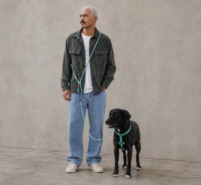 Поводок для собак свободные руки Zee dog Velvet Vibe Hands-Free Leash Velvet Vibes Vert, 120 - 240см   B1520 фото