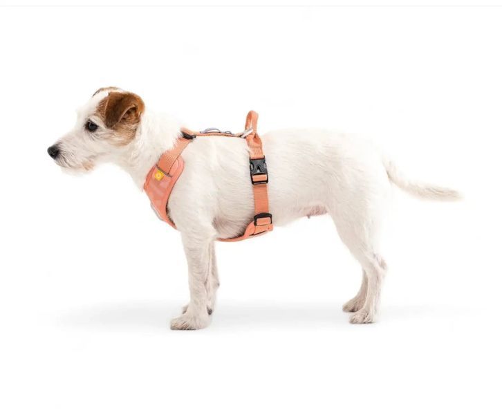 Шлейка для собак Woolly Wolf Roam Harness Salmon Pink