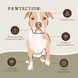 Бальзам для защиты лап Paw Tection Natural Dog Company 11754 фото 4