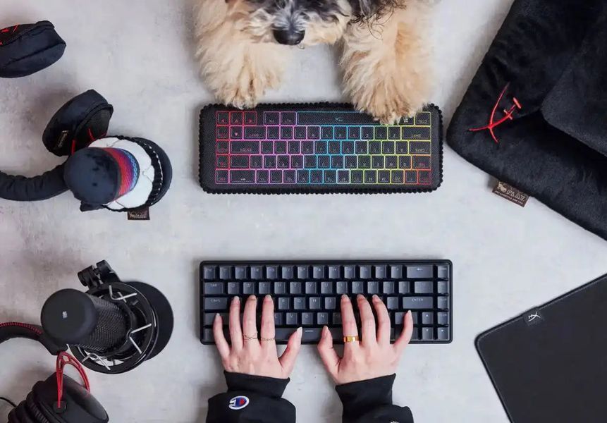 Игрушка для собак P.L.A. Y. x HyperX - Keyboard Pet Play 12523 фото